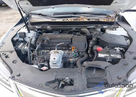 2015 Acura Tlx Tech z USA, uszkodzony, nr VIN 19UUB1F53FA007596